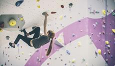 The Boardroom Climbing