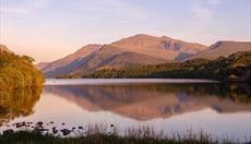 Oyster Holiday Cottages - Snowdonia