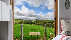 View from the shepherd's hut kitchen