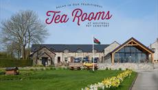 Tea Rooms