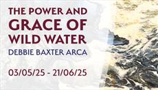 Debbie Baxter The Power And Grace Of Wild Water