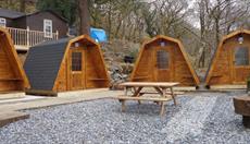 Bryn Dinas Pods