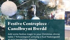 Festive Centrepiece at RSPB South Stack / Canolbwynt Bwrdd Nadoligaidd yn RSPB Ynys Lawd