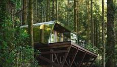 Forest Lodges