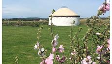 Anglesey Yurt Holidays