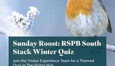 Sunday Roost: RSPB South Stack Winter Quiz / 'Rŵst' Dydd Sul: Cwis Gaeaf RSPB Ynys Lawd