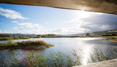 RSPB Conwy