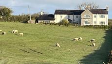 Ty Dderw Country Inn