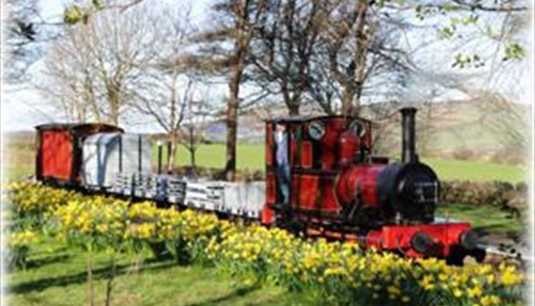 Narrow Gauge Railway