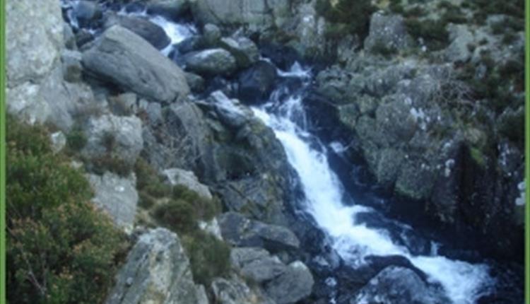 Ogwen Falls Cafe