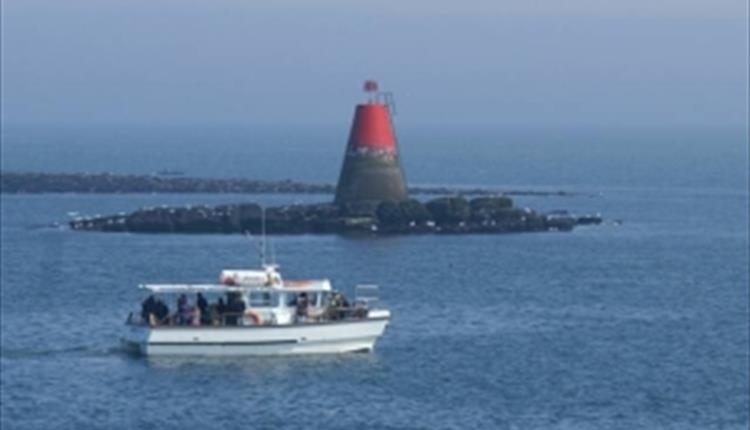 Puffin Island Cruises