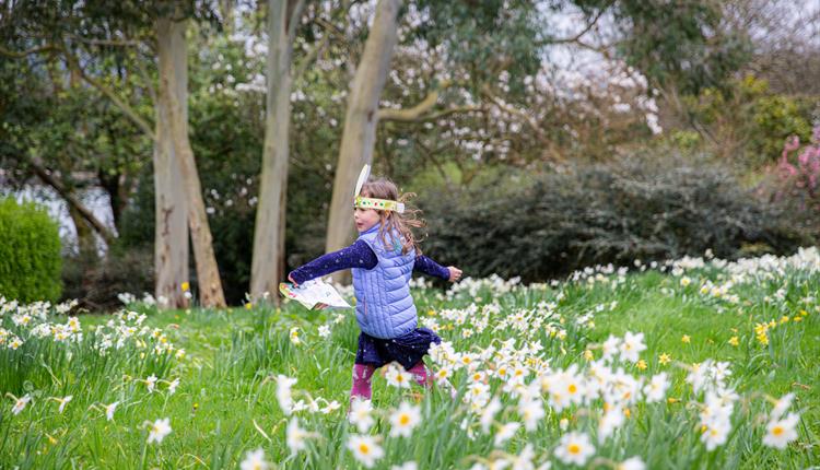 Easter Adventures at Plas Newydd House and Garden, Ynys Môn (Anglesey)