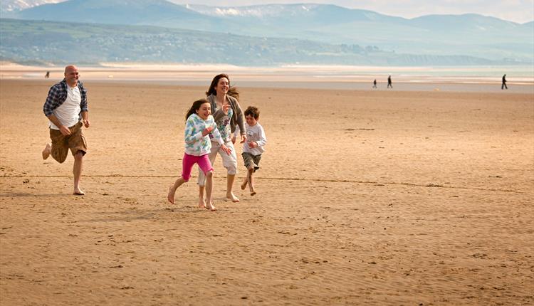 are dogs allowed on black rock sands