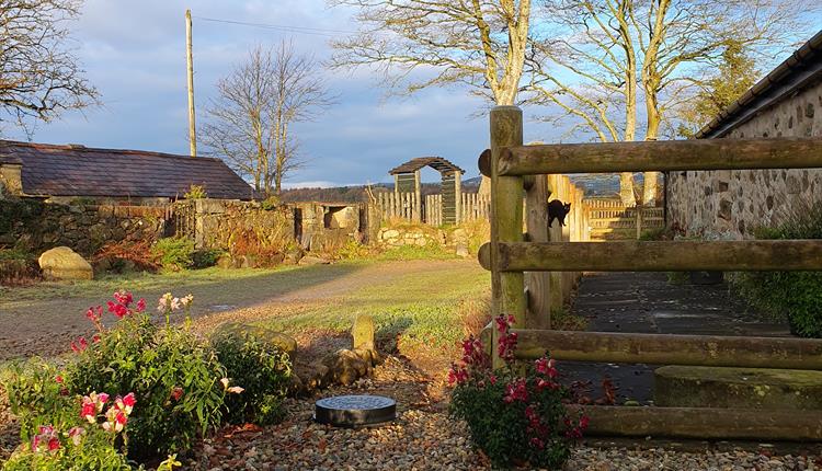 Pen y Maes Cottage