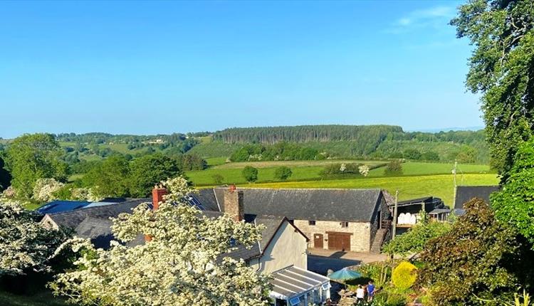 Rear house view