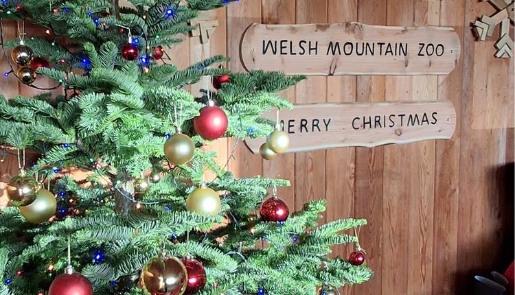 Santa's Grotto at Welsh Mountain Zoo
