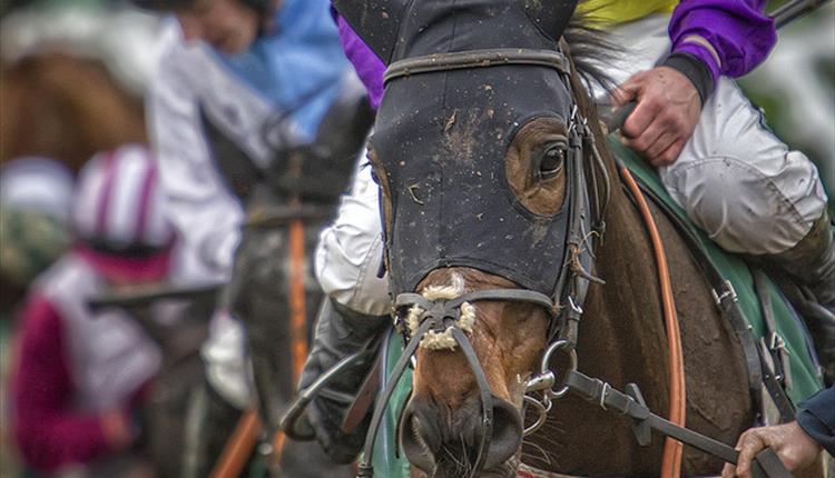 Bangor-on-Dee Racecourse