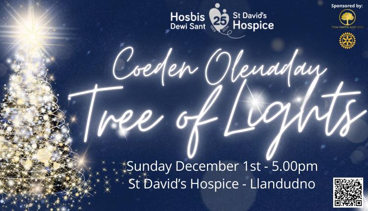 Llandudno Tree of Lights