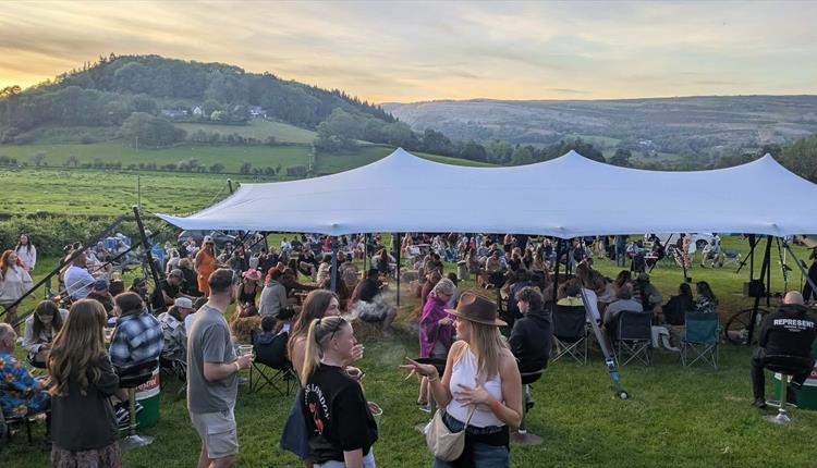 Camp Bongo Limited - Wrexham
