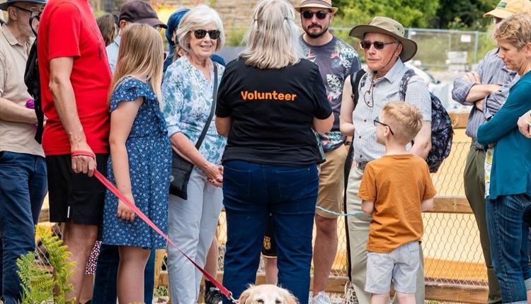Fossil Forest Sneaky Peak Tours