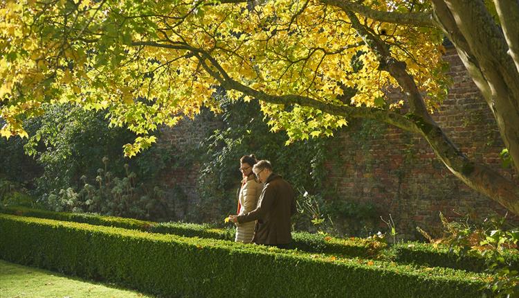 Garden Tour - 'Beauty in Leaves and Fruits 'Autumn's Palette'