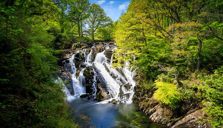 swallow falls