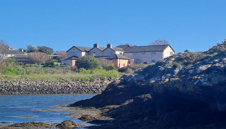 Live Music - Free Entry