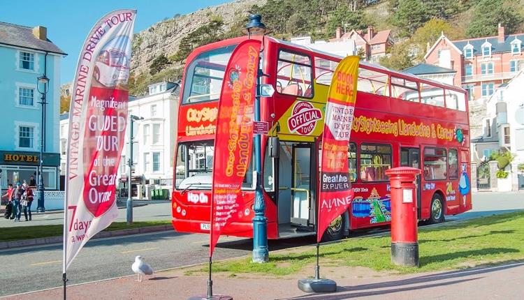 Alpine Travel City Sightseeing Tours