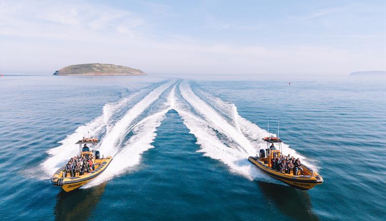 Discover Puffin Island and Menai Bridge this Easter with Anglesey Boat Trips AND enjoy 10% off!
