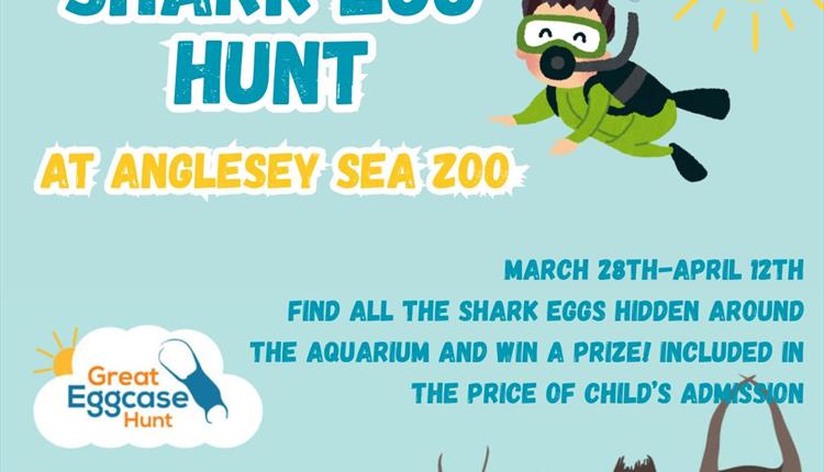 Easter Shark Hunt