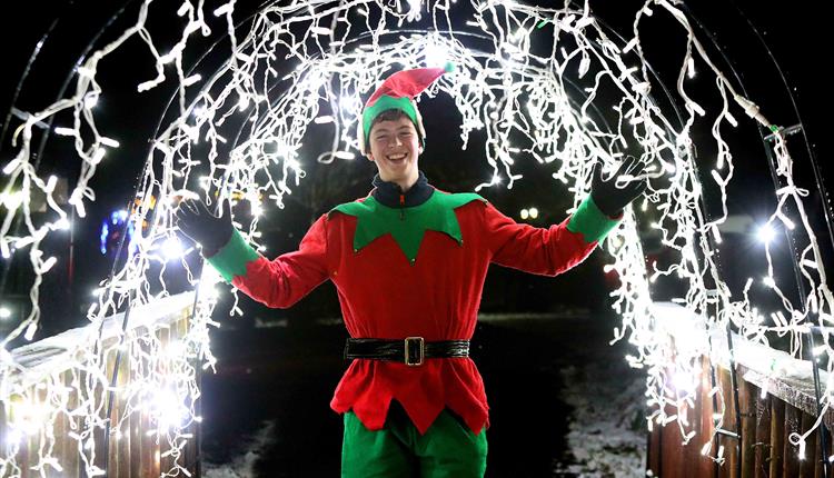 Santa's Magical Christmas Light Trail & Grotto