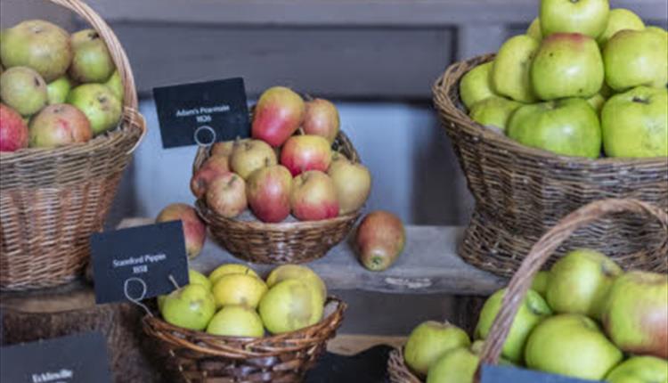 Erddig Apple Harvest Celebration