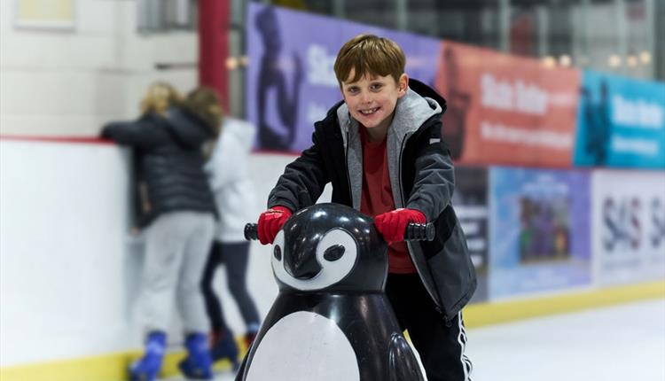 Ice Arena @ Deeside Leisure Centre