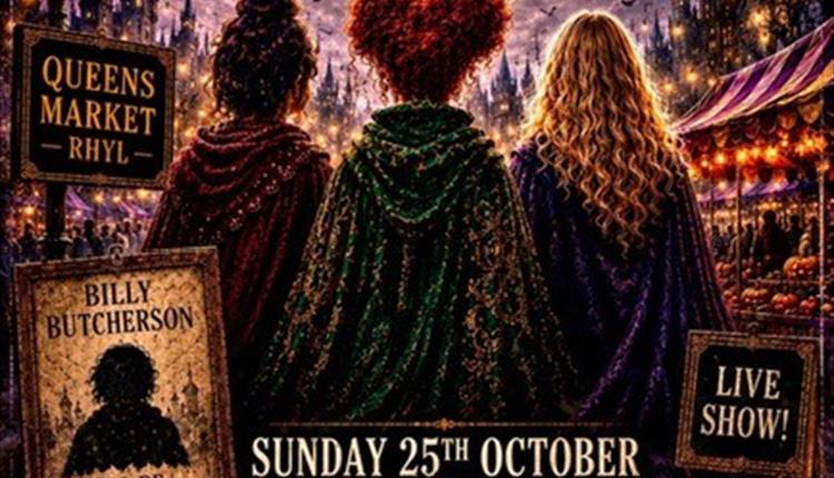 Hocus Pocus.....The Witches are Back