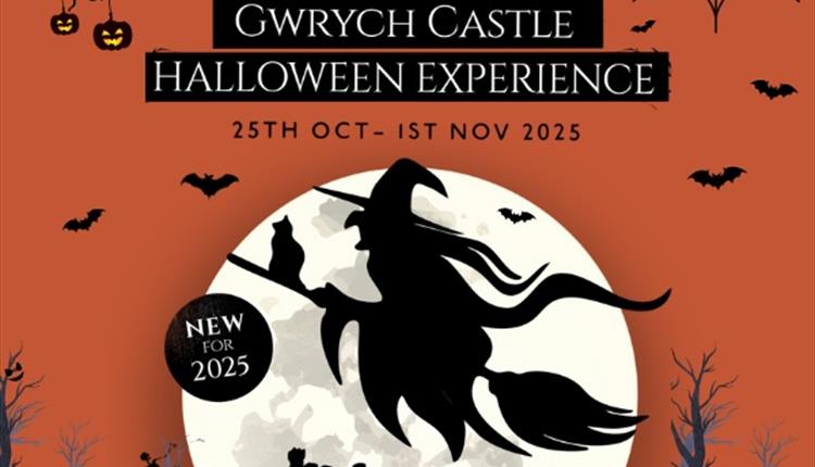 The Gwrych Castle Halloween Experience
