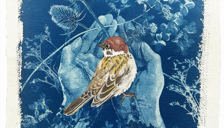 Pensychnant Open Art Exhibition - Nature, Environment and Conservation