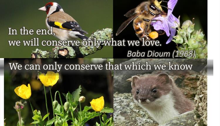 Biodiversity at Pensychnant - a talk by Julian Thompson