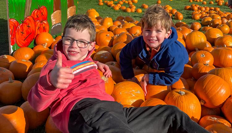 Pumpkin Fest