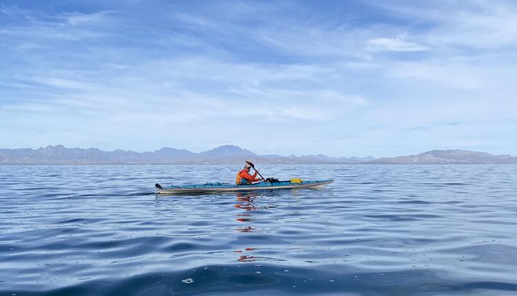 Sea Kayaking and Wildlife Tour : Bahia National Park, Mexico