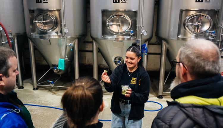 Wild Horse Brewery Tours