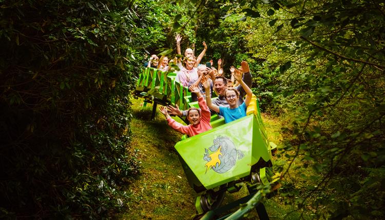 Families on the green dragon rollercoaster