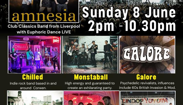 LLANFEST 25