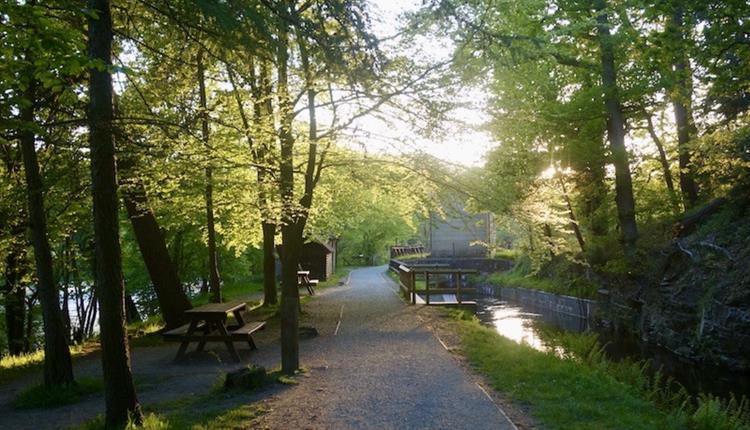 WellBeing Walks with jojourneys