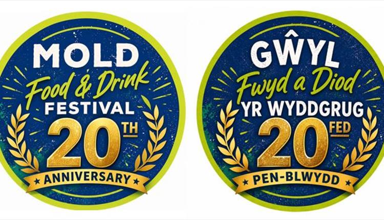 Circular 20th anniversary logos for the Mold Food & Drink Festival, colours are blue, green and gold. One English and one Welsh version.