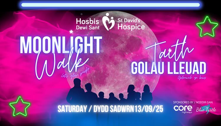 St David's Hospice Moonlight Walk