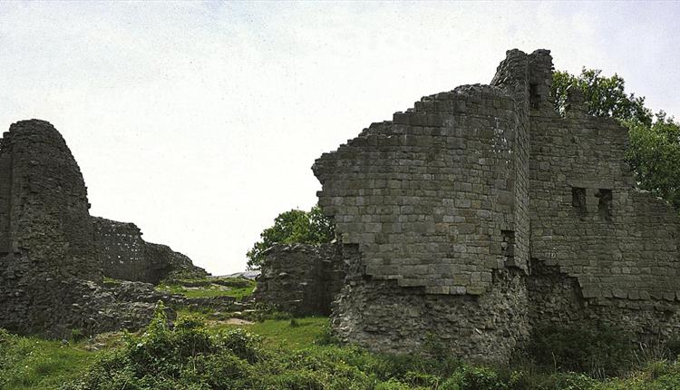 Caergwrle Castle