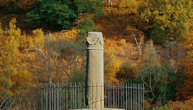 Ellseg's Pillar