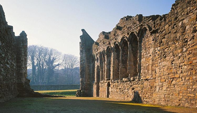 Basingwerk Abbey