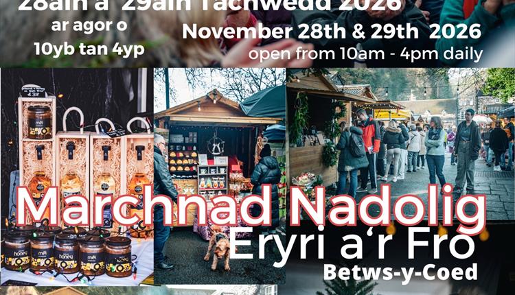 Snowdonia & Local Market