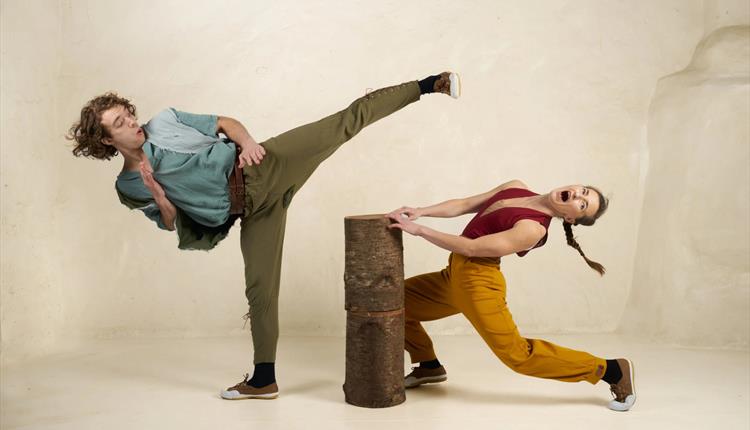Olive Branch - a dynamic show that merges dance with marital arts